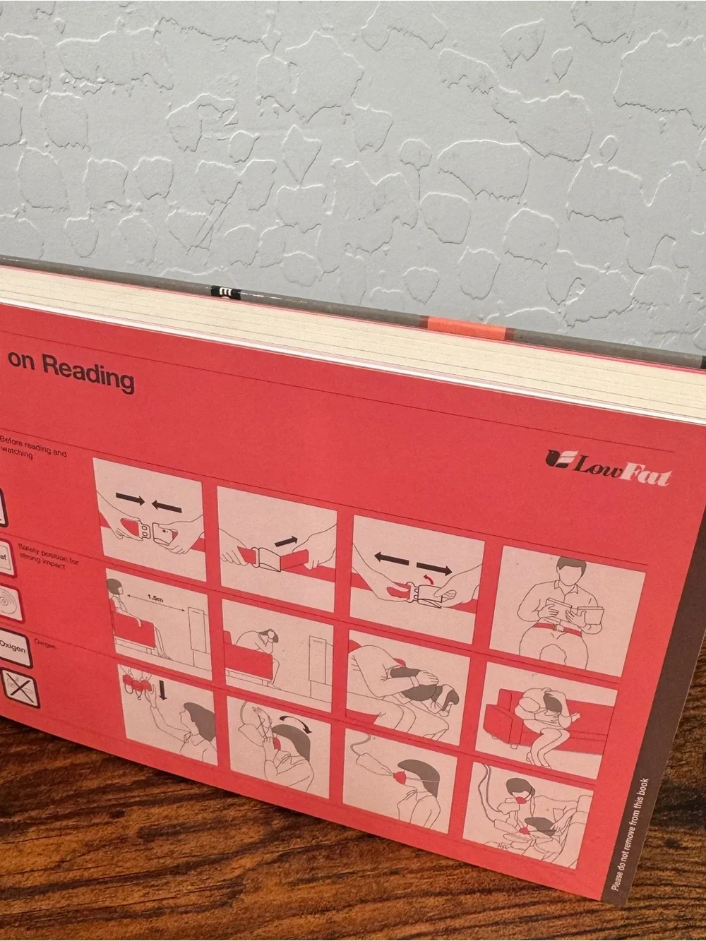 Low Fat Graphics: Shin Sasaki w/DVD Gingko Press
